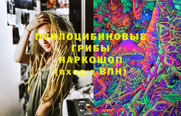 шишки Лагань