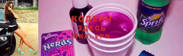 шишки Лагань