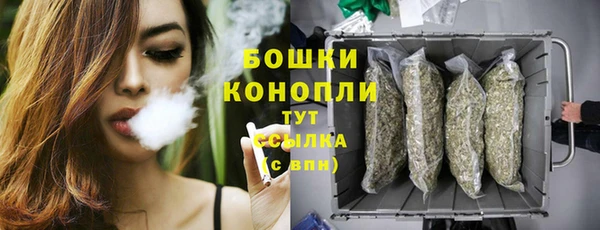 шишки Лагань