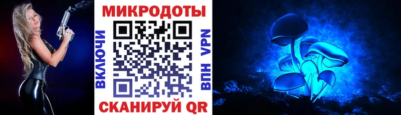 закладки  Талдом  Псилоцибиновые грибы Cubensis 